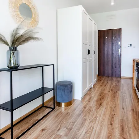 Ukiel Park 16 Przy Plazy Miejskiej - Klimatyzacja,free Parking,fv Olštýn